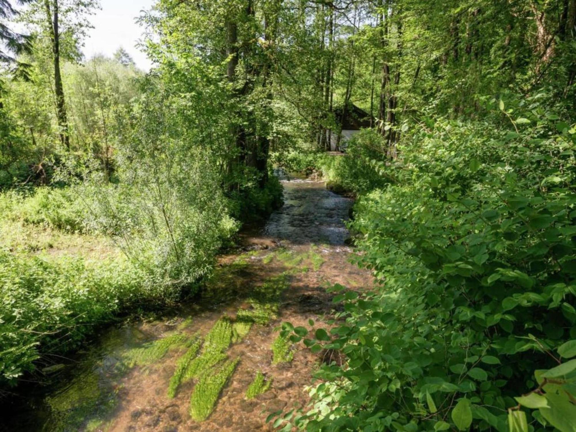 Magnificent Apartment In Willingen With Balcony 외부 사진